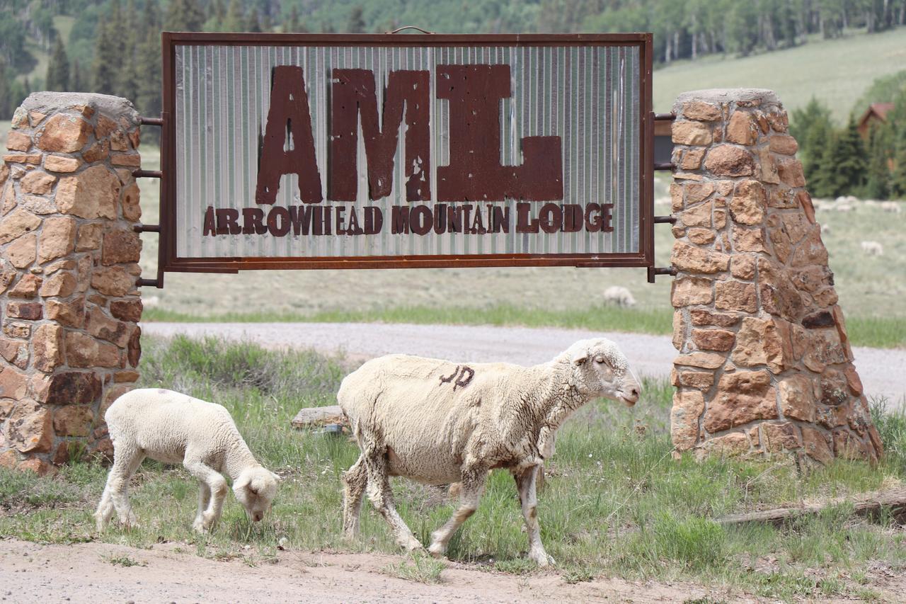 Arrowhead Mountain Lodge Cimarron Extérieur photo